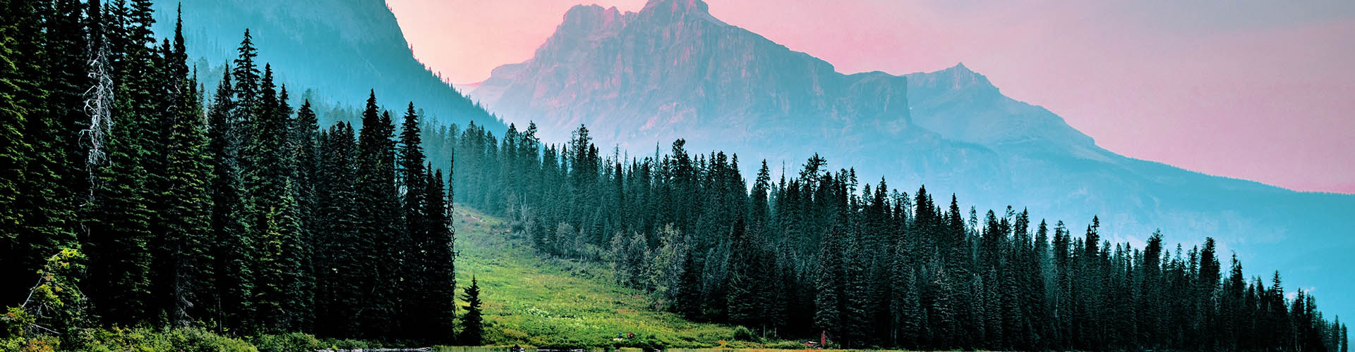 Green forest and mountains in Canada.