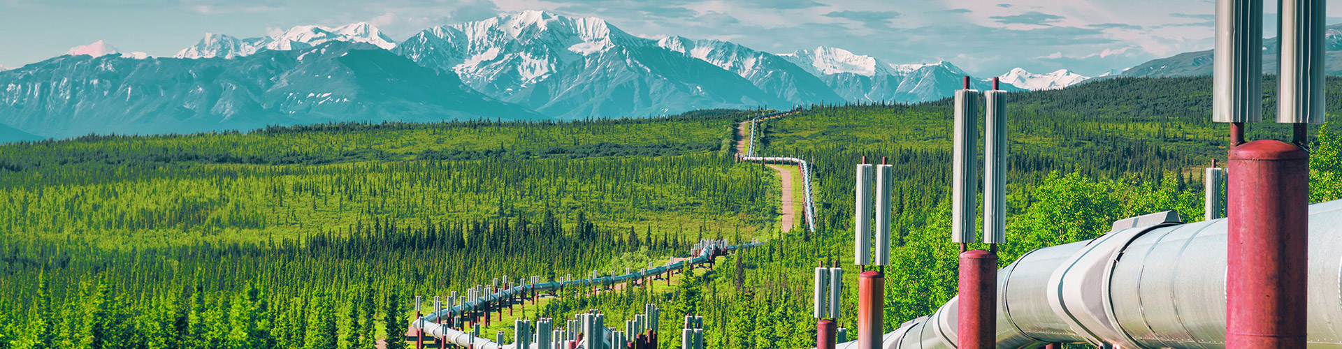 Trans Alaksa oil pipelilne crossing the land towards the mountains.