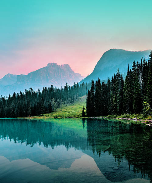 Green forest and mountains in Canada.