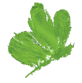 We unlock brilliance value icon of a butterfly.